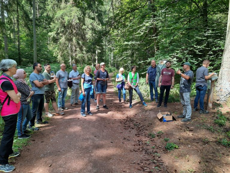 Die Zukunft des Waldes in unserem grünen Landkreis