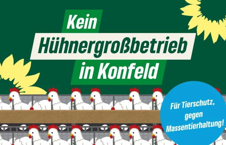 Saar-Grüne sprechen sich gegen Hühnergroßbetrieb im Nordsaarland aus